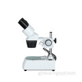 Stereo Microscope Tabletop Step Stereoscopic Binocular Microscope Manufactory